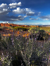 Load image into Gallery viewer, RED DESERT botanical perfume spray