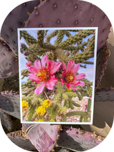 Load image into Gallery viewer, Cholla Flowers Greeting Card