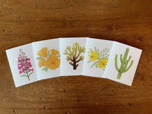 Load image into Gallery viewer, Raffle for Rosie: Prize Bundle #3