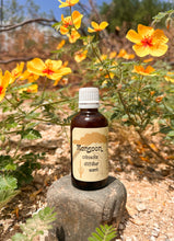 Load image into Gallery viewer, Monsoon - Creosote bush diffuser scent