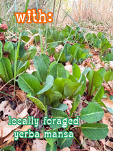 Load image into Gallery viewer, Solace Balm for bruises & sore muscles