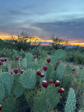 Load image into Gallery viewer, Prickly Pear Cactus Fruit Concentrate