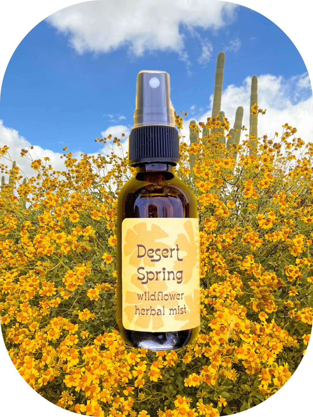 Desert Spring face + body botanical perfume mist