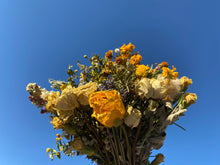Load image into Gallery viewer, Dried Flower + Foraged Herb Bundle