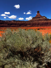 Load image into Gallery viewer, RED DESERT botanical perfume spray
