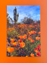 Load image into Gallery viewer, California poppy desert postcard

