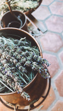 Load image into Gallery viewer, Lavender Hydrosol Workshop
