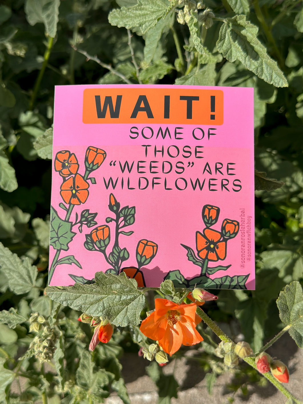 Wait! Some of Those “Weeds” are Wildflowers sticker