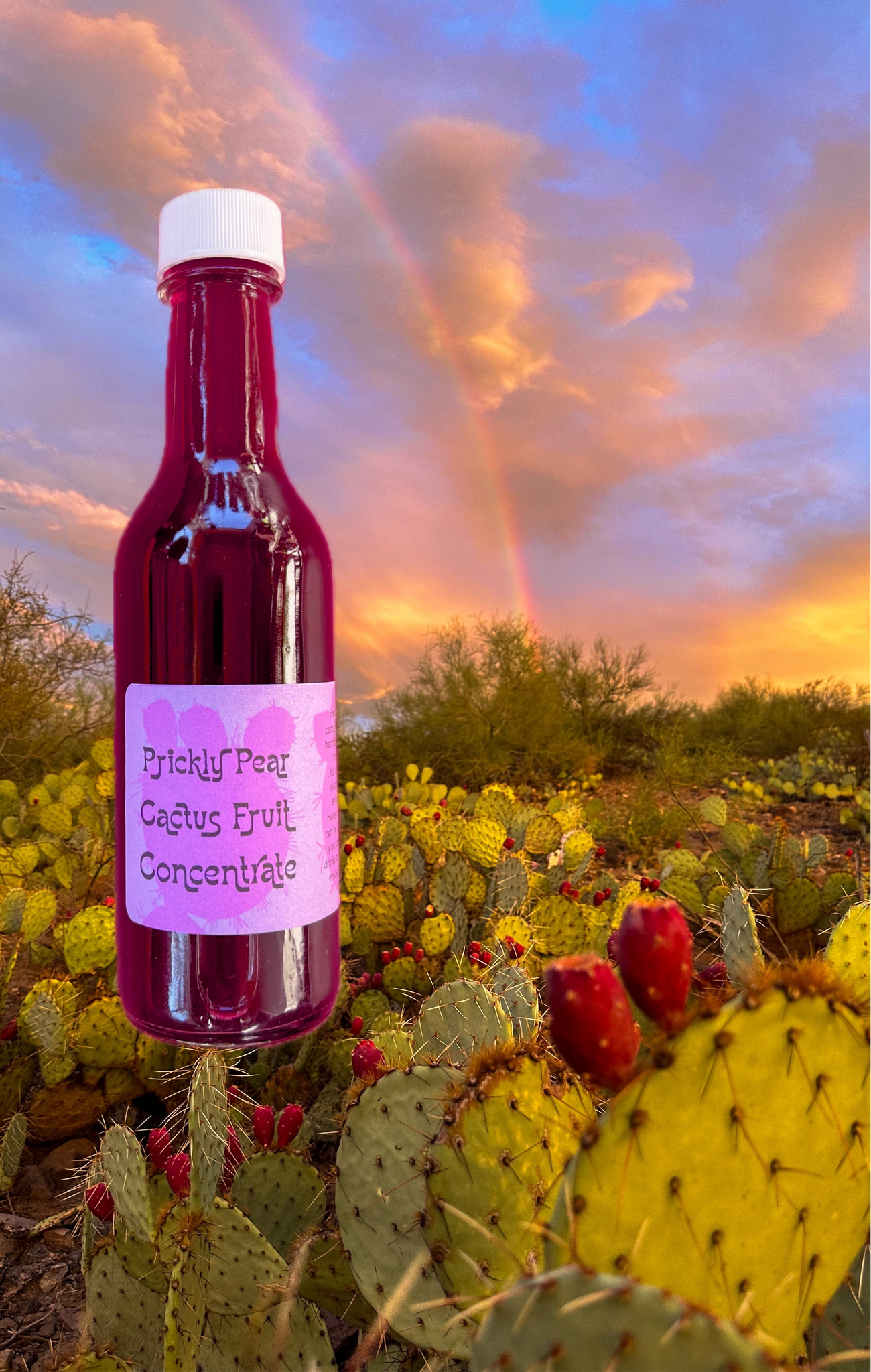 prickly pear cactus wine Prickly Pear Cactus Fruit Concentrate – Sonoran Rosie