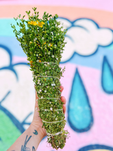 Load image into Gallery viewer, 🌿 Creosote Bundle Workshop - September 21
