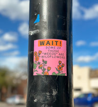 Load image into Gallery viewer, Wait! Some of Those “Weeds” are Wildflowers sticker
