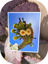 Load image into Gallery viewer, Saguaro Flowering Arm greeting card
