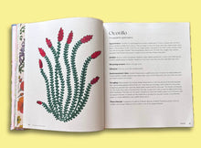 Load image into Gallery viewer, Seasons of the Desert book by Sonoran Rosie
