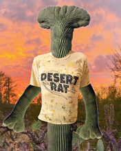 Load image into Gallery viewer, Desert Rat naturally hand dyed tees
