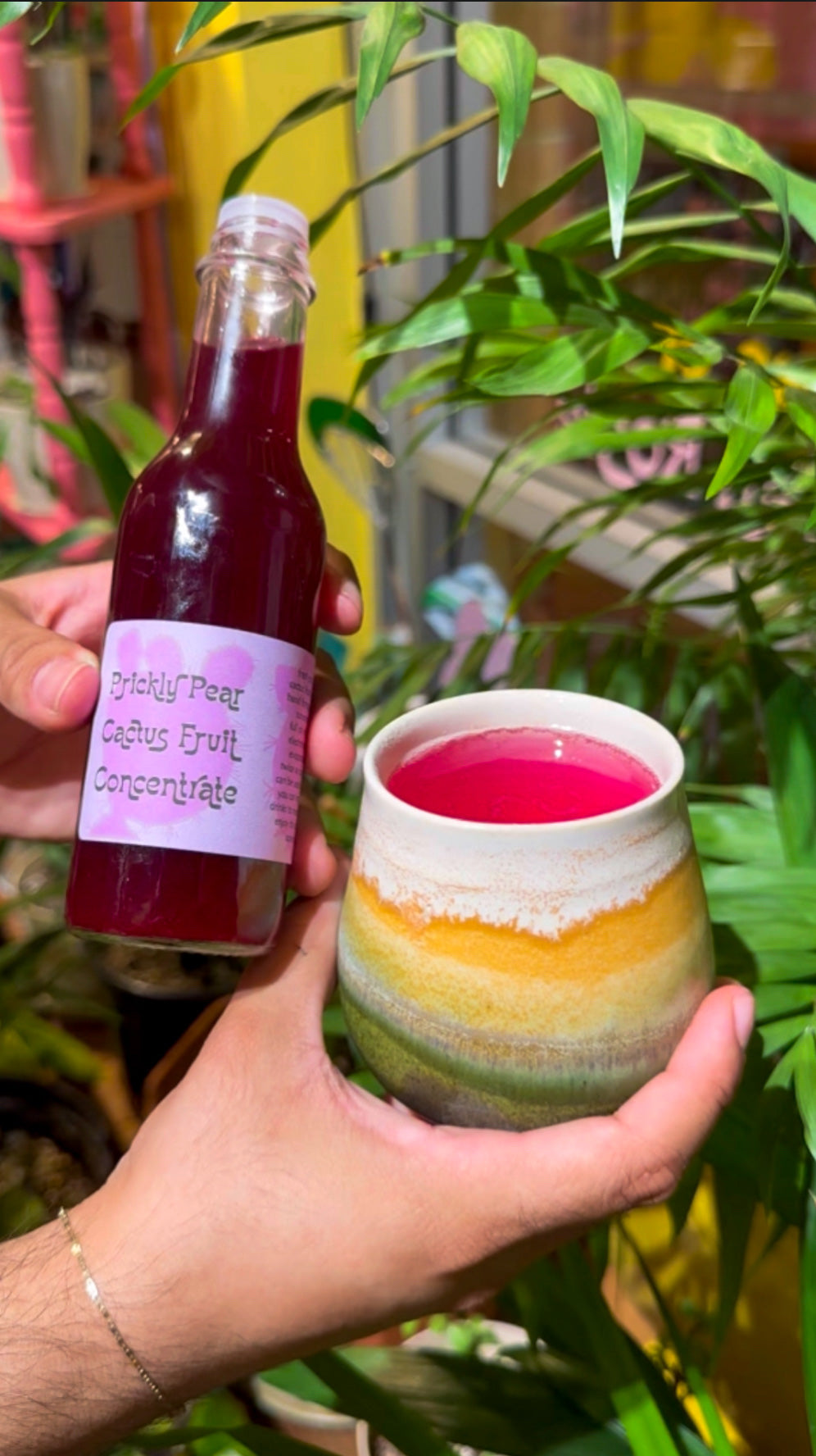 arizona cactus ranch prickly pear nectar Prickly Pear Cactus Fruit Concentrate – Sonoran Rosie