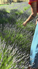 Load and play video in Gallery viewer, Local Lavender Bundle
