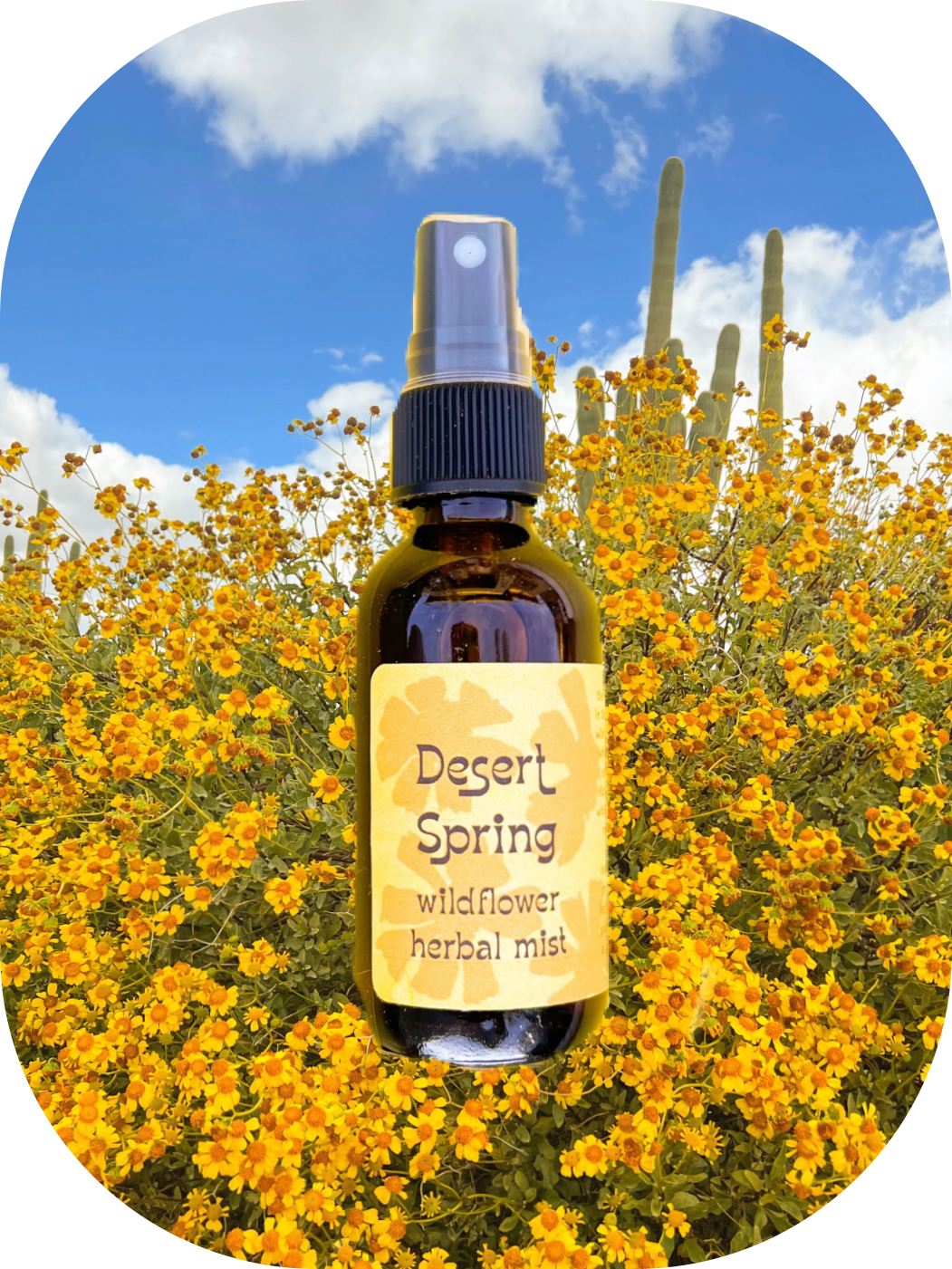 Desert Spring face + body botanical perfume mist – Sonoran Rosie