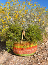 Load image into Gallery viewer, Creosote Bush (chaparral) Dried Shower Hanging Bundle : Energy Cleansing Bundle
